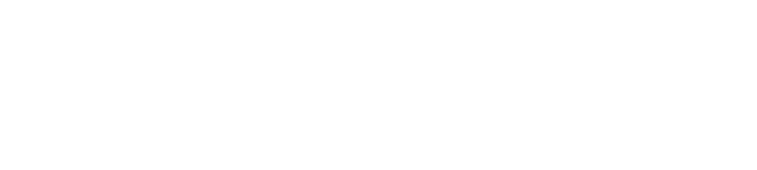Sonepar logo in white