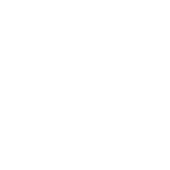 Elan Skis logo