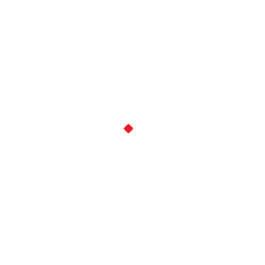 Swiss Sense logo